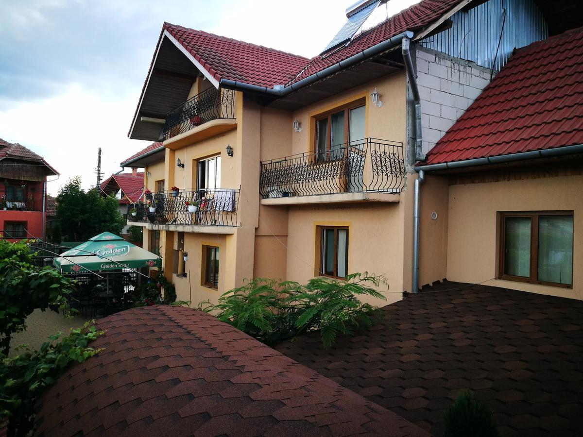 Hotel Pensiunea Remus Novaci-Străini Exterior foto